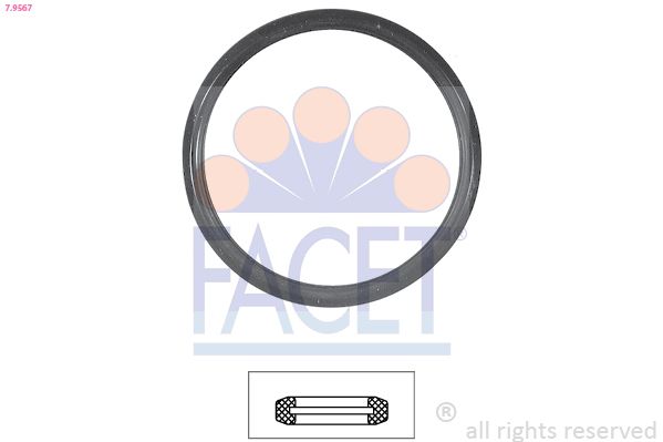 Прокладка термостата FACET 79567 - zapix