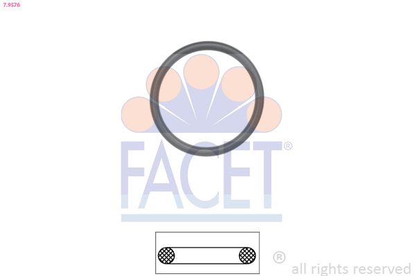 Прокладка термостата FACET 79576 - zapix