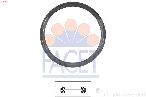 Прокладка термостата FACET 79584 - zapix