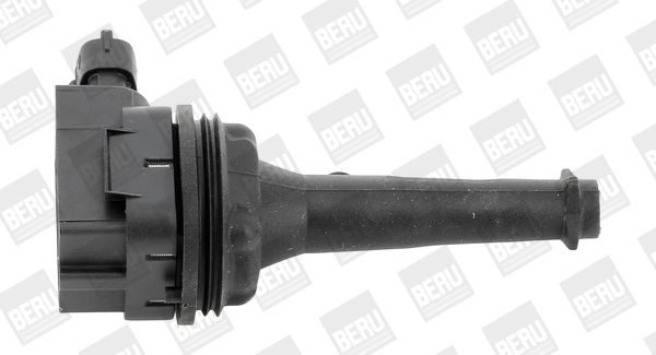 Котушка запалювання BORGWARNER (BERU) ZSE019 - zapix