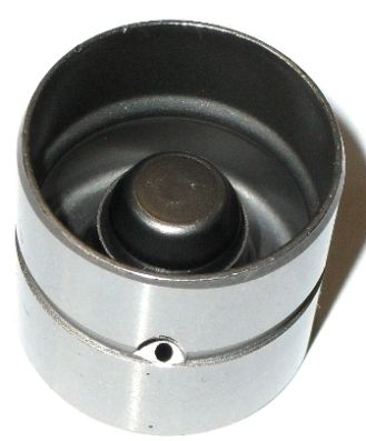 Штовхач клапана (гідрокомпенсатор) FRECCIA PI060002 - zapix