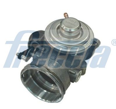 Клапан EGR FRECCIA EGR12181 - zapix