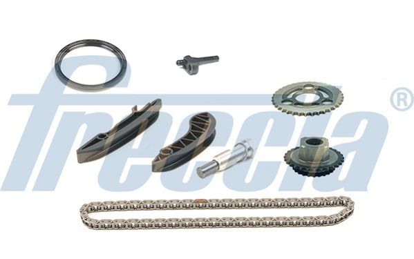 Комплект ланцюгів привода FRECCIA TK081163 - zapix