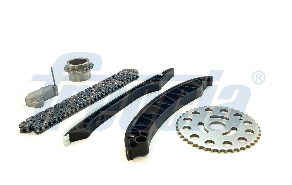 Комплект ланцюгів привода FRECCIA TK081166 - zapix