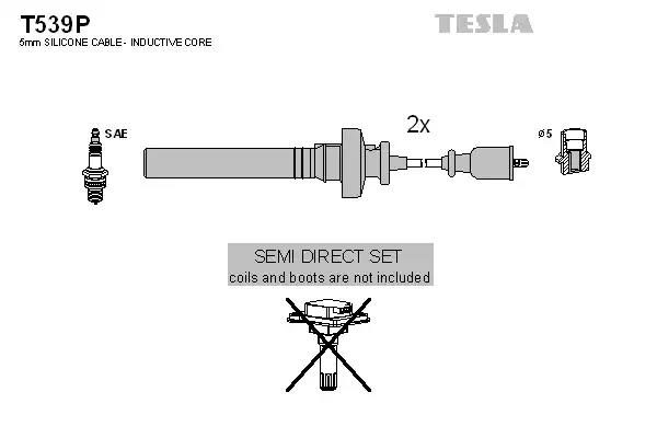 Комплект проводів високої напруги TESLA T539P - zapix