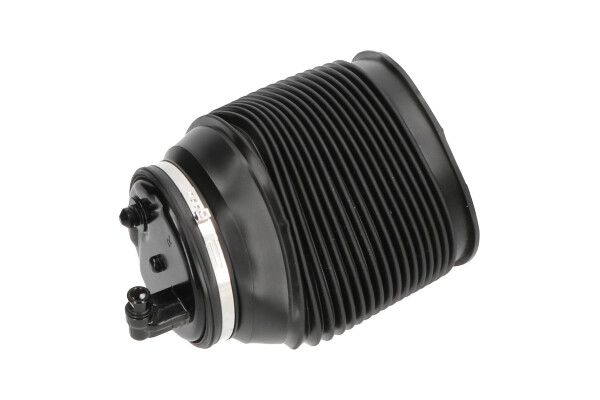 Пневматична підвіска KAVO PARTS SAS10012 - zapix