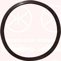 Кришка паливного насоса KLOKKERHOLM 25990096 - zapix