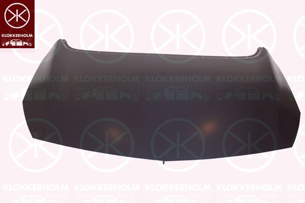 Капот KLOKKERHOLM 5053280 - zapix