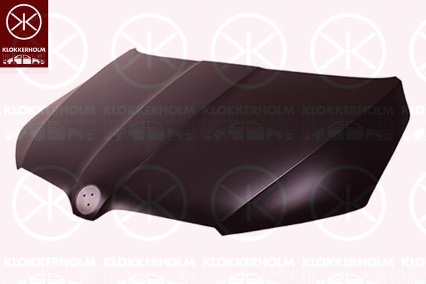 Капот KLOKKERHOLM 7522280 - zapix