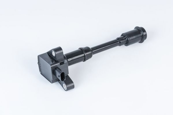 Катушка зажигания BORGWARNER (BERU) ZSE203