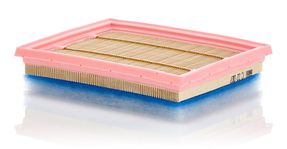 Повітряний фільтр MANN-FILTER C22007 - zapix