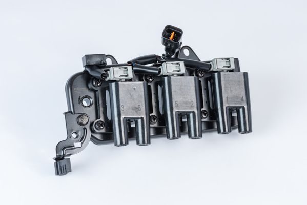 Котушка запалювання BORGWARNER (BERU) ZS555 - zapix