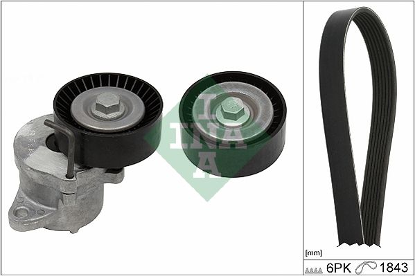 Комплект поліклинових ременів SCHAEFFLER INA 529035010 - zapix