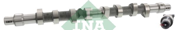 Розподільний вал SCHAEFFLER INA 428008610 - zapix