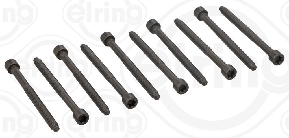Гвинти голівки циліндра ELRING 290440 - zapix