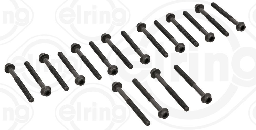 Гвинти голівки циліндра ELRING 476130 - zapix