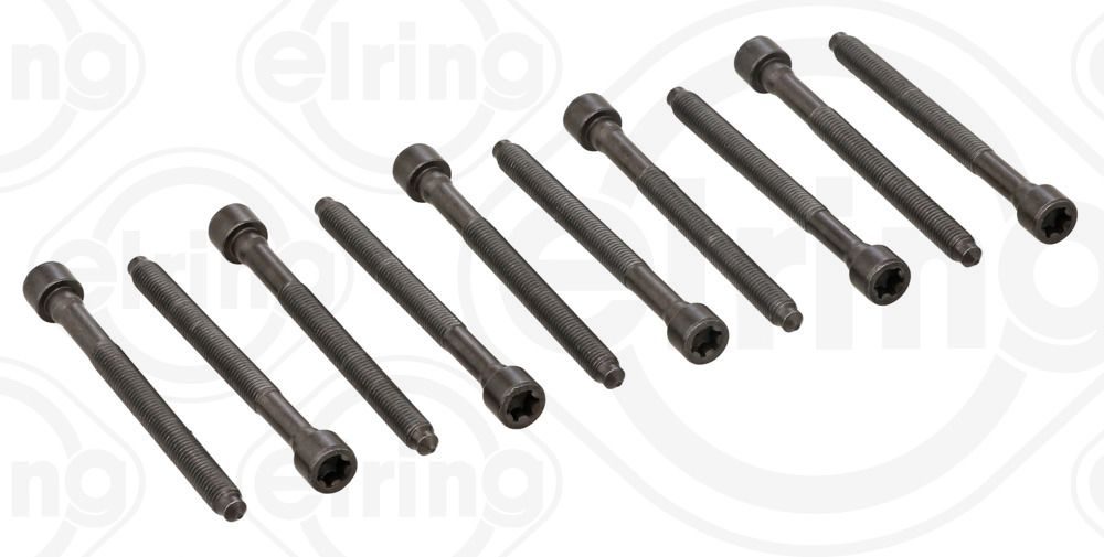 Гвинти голівки циліндра ELRING 325930 - zapix
