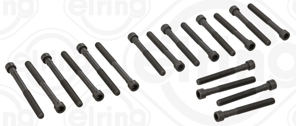 Гвинти голівки циліндра ELRING 820199 - zapix