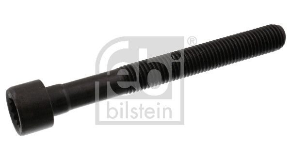Гвинти голівки циліндра FEBI BILSTEIN 07978 - zapix