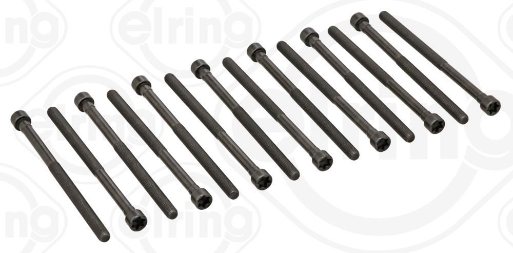 Гвинти голівки циліндра ELRING 794480 - zapix
