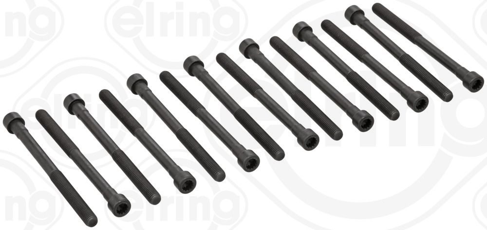Гвинти голівки циліндра ELRING 759640 - zapix