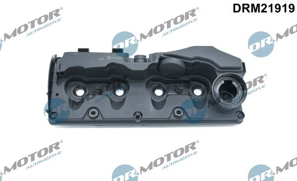 Клапанна кришка DR.MOTOR AUTOMOTIVE DRM21919 - zapix