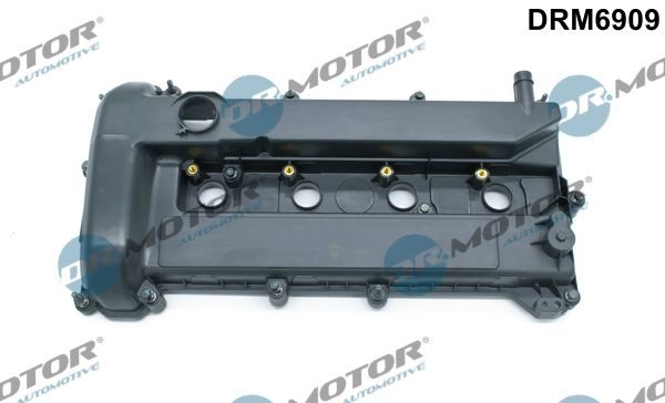 Клапанна кришка DR.MOTOR AUTOMOTIVE DRM6909 - zapix