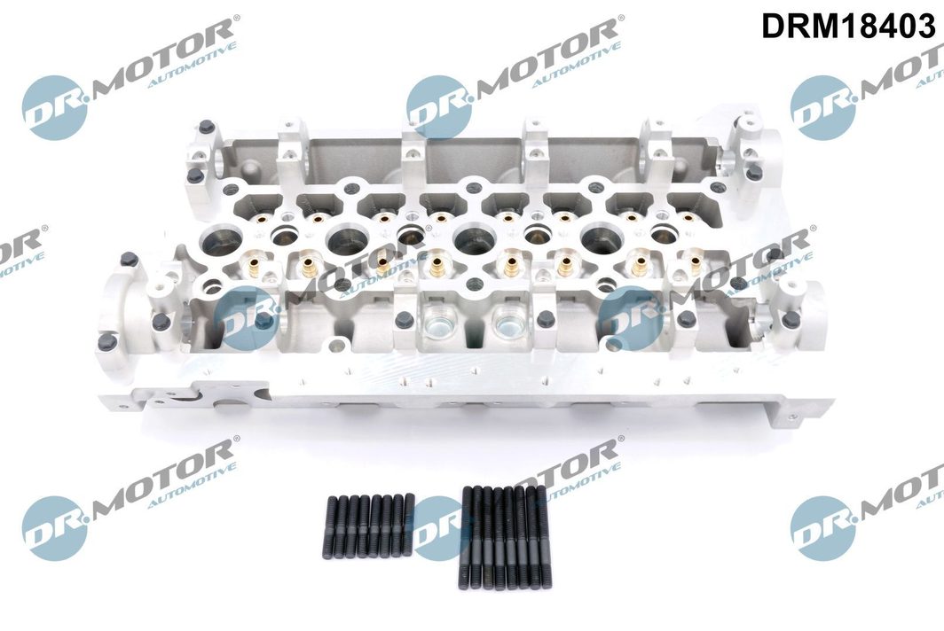 Головка блоку циліндрів DR.MOTOR AUTOMOTIVE DRM18403 - zapix