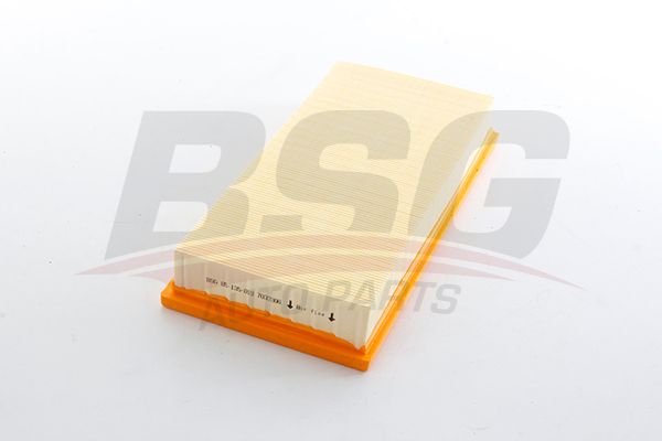 Повітряний фільтр BSG85135013 - zapix
