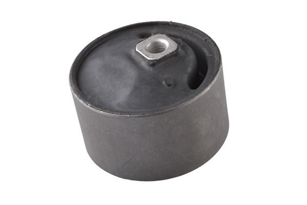 Опора двигуна TEDGUM 00465454 - zapix