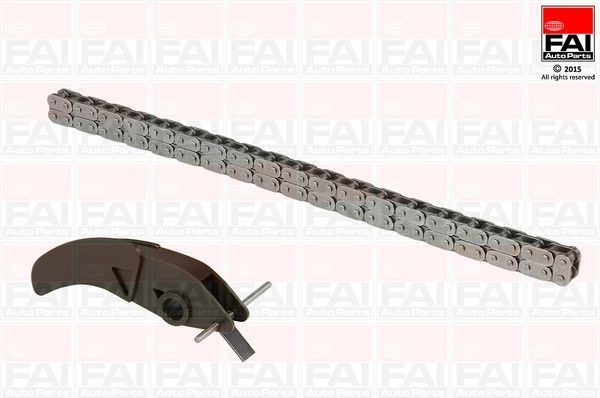 Приводний ланцюг оливного насоса FAI AUTOPARTS OPCK2 - zapix