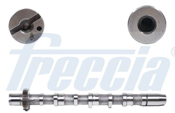 Розподільний вал FRECCIA CM052189 - zapix