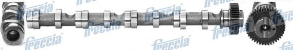 Розподільний вал FRECCIA CM052195 - zapix