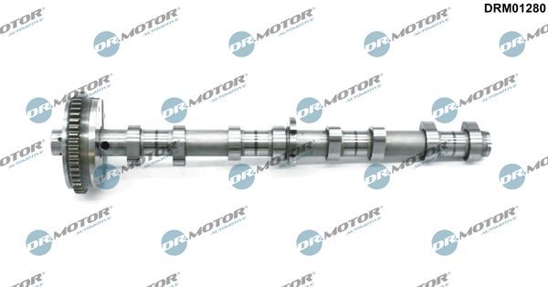 Розподільний вал DR.MOTOR AUTOMOTIVE DRM01280 - zapix