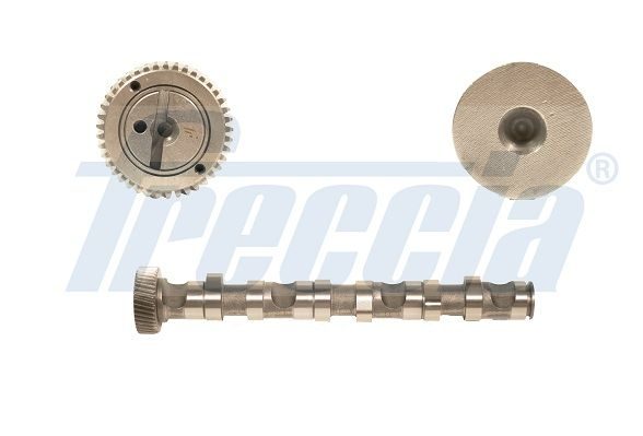 Розподільний вал FRECCIA CM052122 - zapix