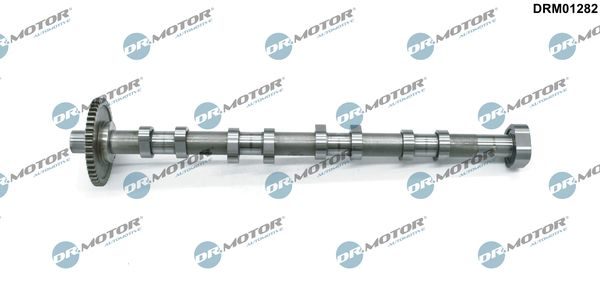 Розподільний вал DR.MOTOR AUTOMOTIVE DRM01282 - zapix