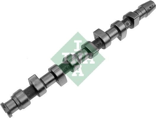 Розподільний вал SCHAEFFLER INA 428006210 - zapix