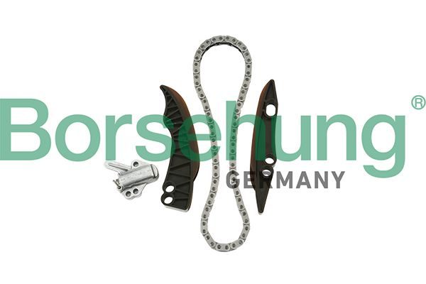 Комплект ланцюгів привода BORSEHUNG B18853 - zapix