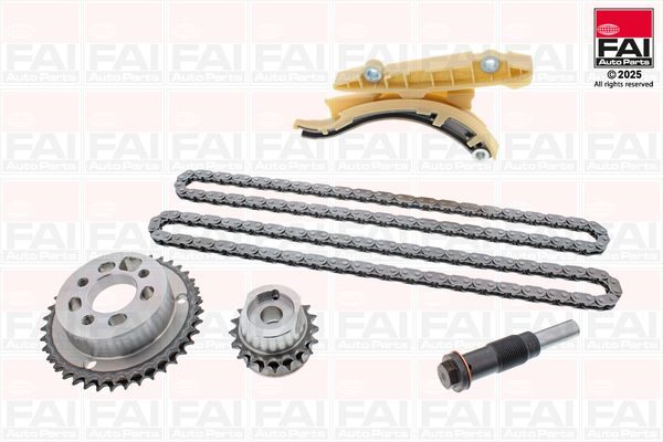 Комплект ланцюгів привода FAI AUTOPARTS TCK122NG - zapix