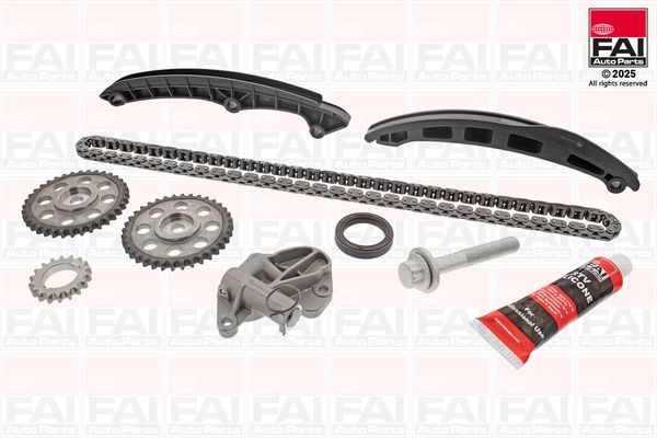 Комплект ланцюгів привода FAI AUTOPARTS TCK200 - zapix