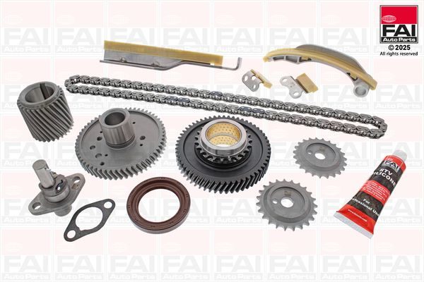 Комплект ланцюгів привода FAI AUTOPARTS TCK40 - zapix