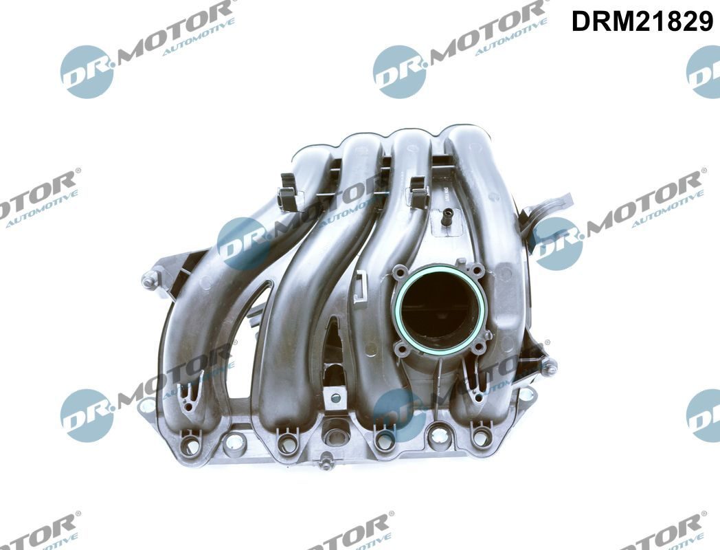 Колектор впускний DR.MOTOR AUTOMOTIVE DRM21829 - zapix