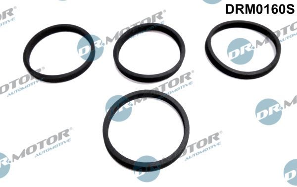 Прокладка впускного колектора DR.MOTOR AUTOMOTIVE DRM0160S - zapix