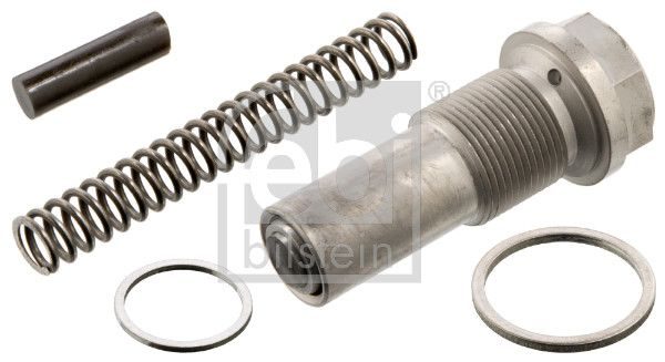 Натяжний пристрій ланцюга ГРМ FEBI BILSTEIN 01382 - zapix