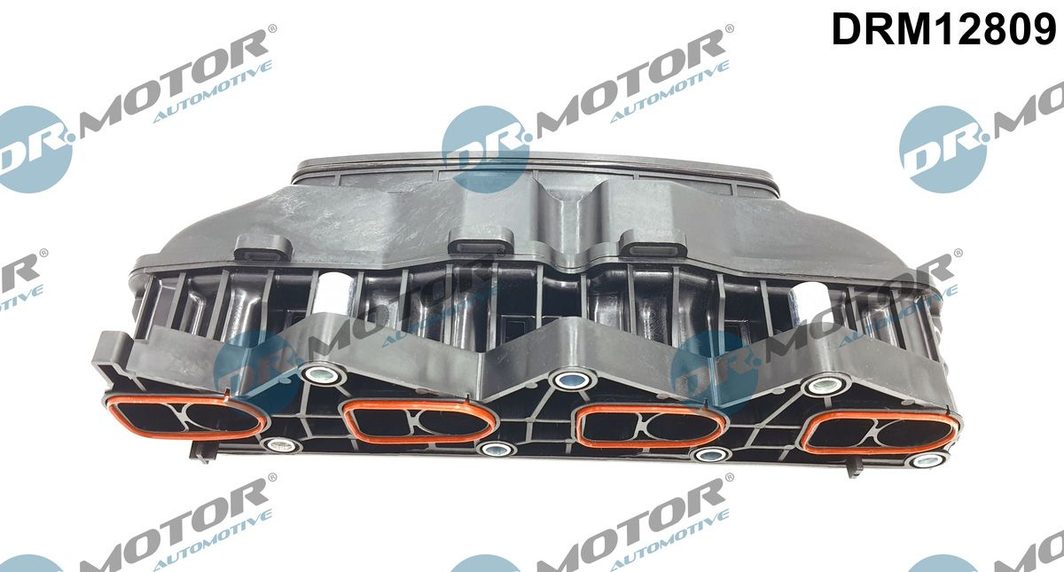 Колектор впускний DR.MOTOR AUTOMOTIVE DRM12809 - zapix