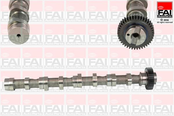 Розподільний вал FAI AUTOPARTS C347 - zapix