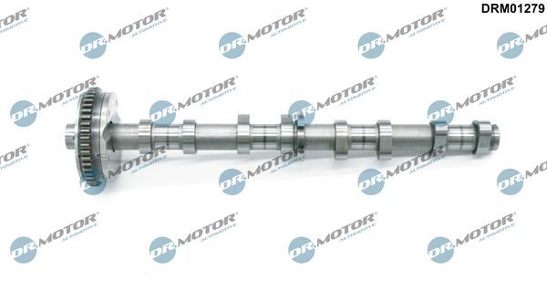 Розподільний вал DR.MOTOR AUTOMOTIVE DRM01279 - zapix