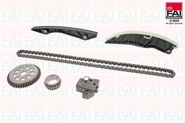 Комплект ланцюгів привода FAI AUTOPARTS TCK203NG - zapix