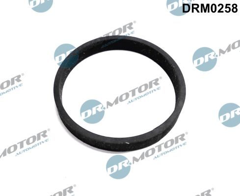 Прокладка турбіни DR.MOTOR AUTOMOTIVE DRM0258 - zapix