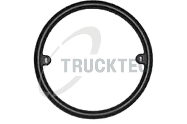 Прокладка оливного радіатора двигуна TRUCKTEC AUTOMOTIVE 0718042 - zapix